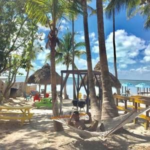 Meet your Posher, Seth